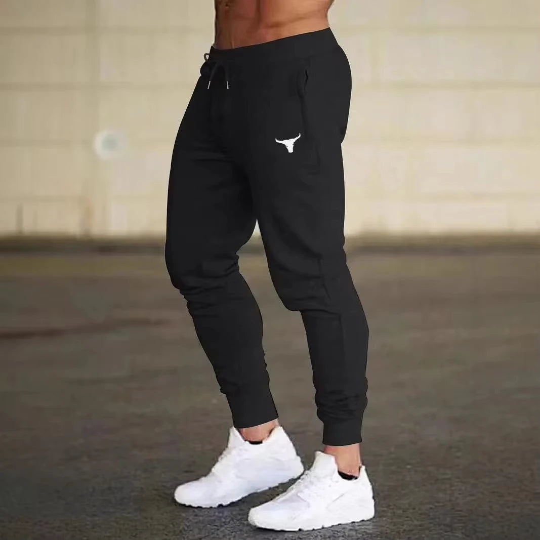 Men's Fitness Joggers & Sweatpants
